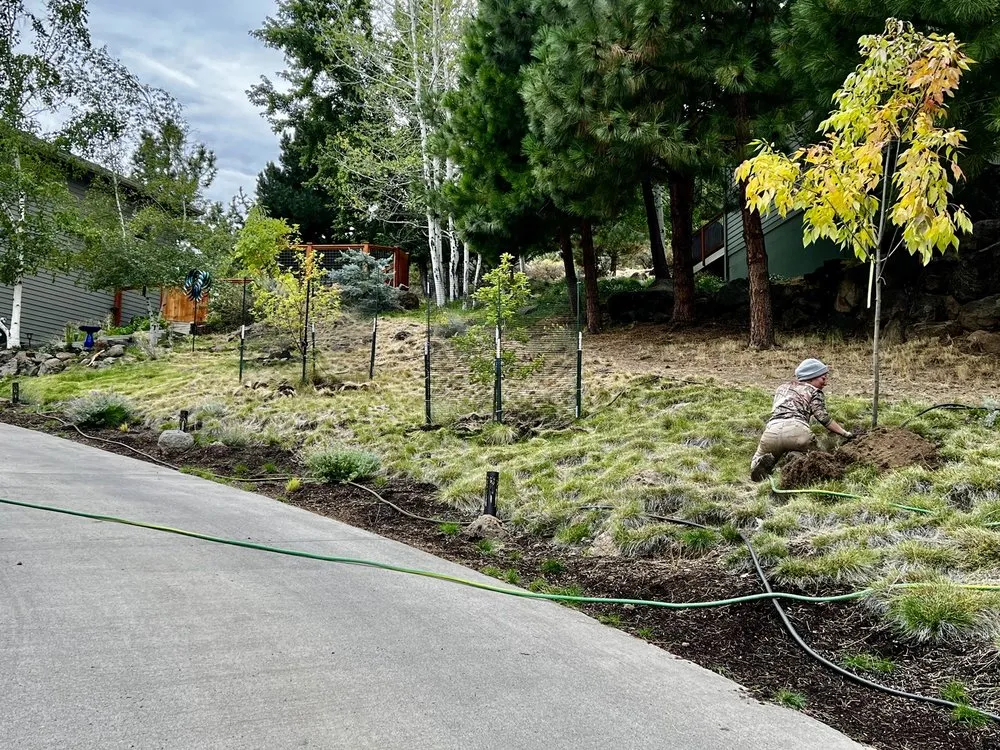 Affordable lawn care service for outdoor upgrades across Bend, OR - Bend Pine Nursery
