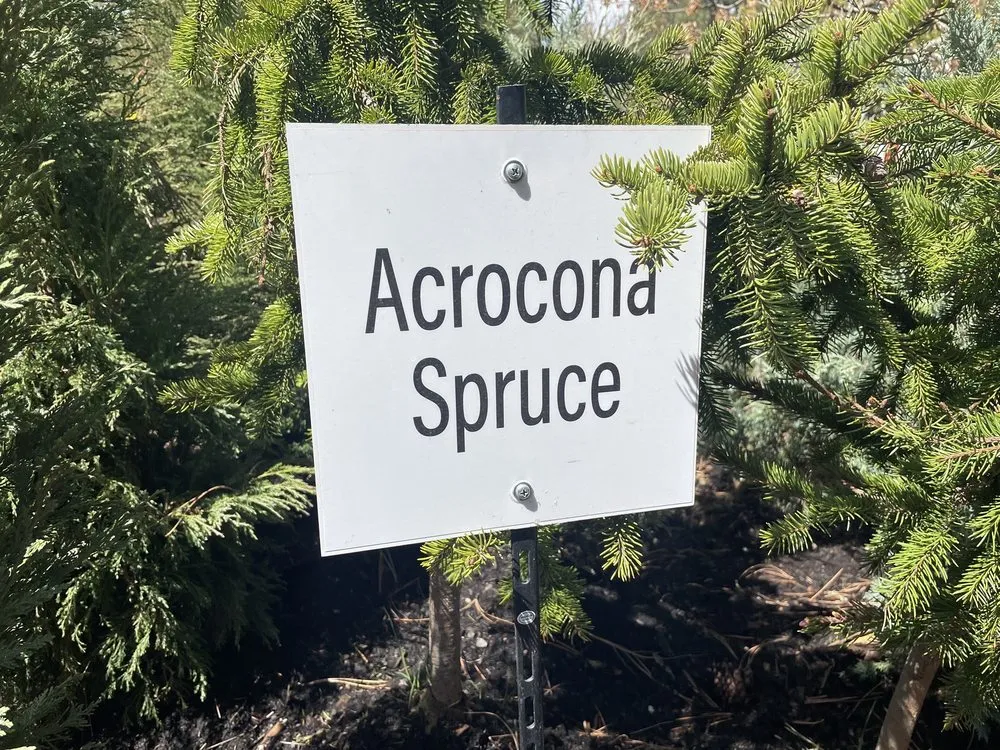 Reliable lawn mowing service in Bend, OR by Bend Pine Nursery