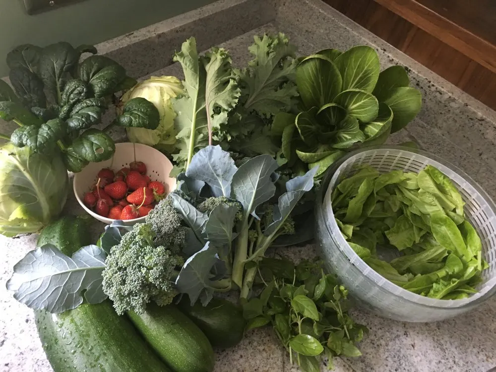 Professional garden landscaping for year-round maintenance across Bend, OR - Bend Urban Gardens