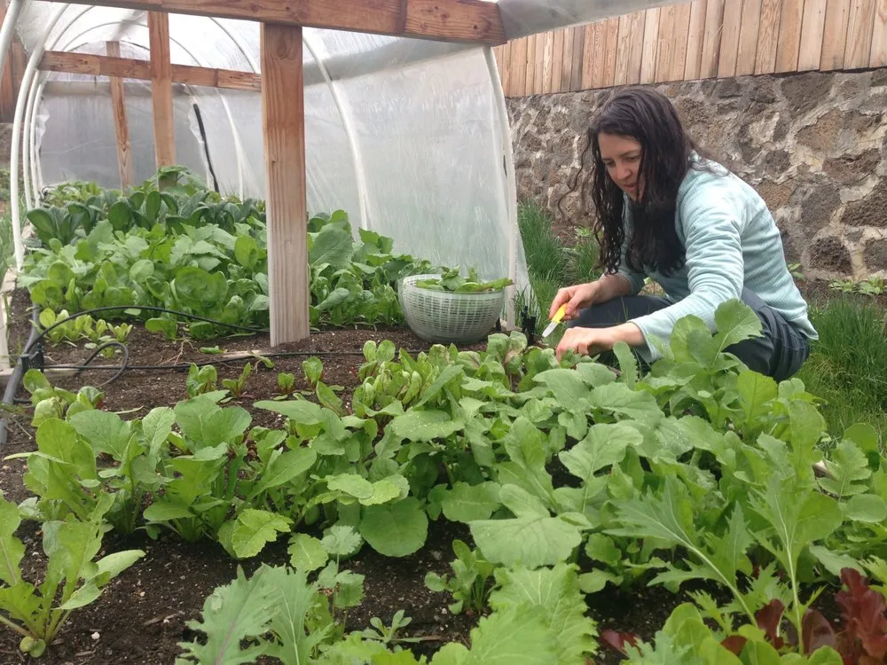 Top-rated outdoor landscaping for beautiful yards in Bend, OR by Bend Urban Gardens