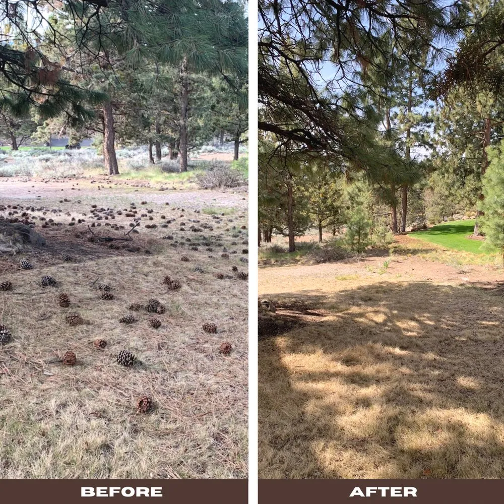 Reliable yard cleanup service experts serving Bend, OR - Bend Yard Service