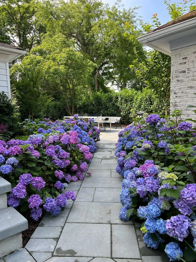 Professional yard maintenance for beautiful yards in Woodmere, NY by Bendavid Landscape Design