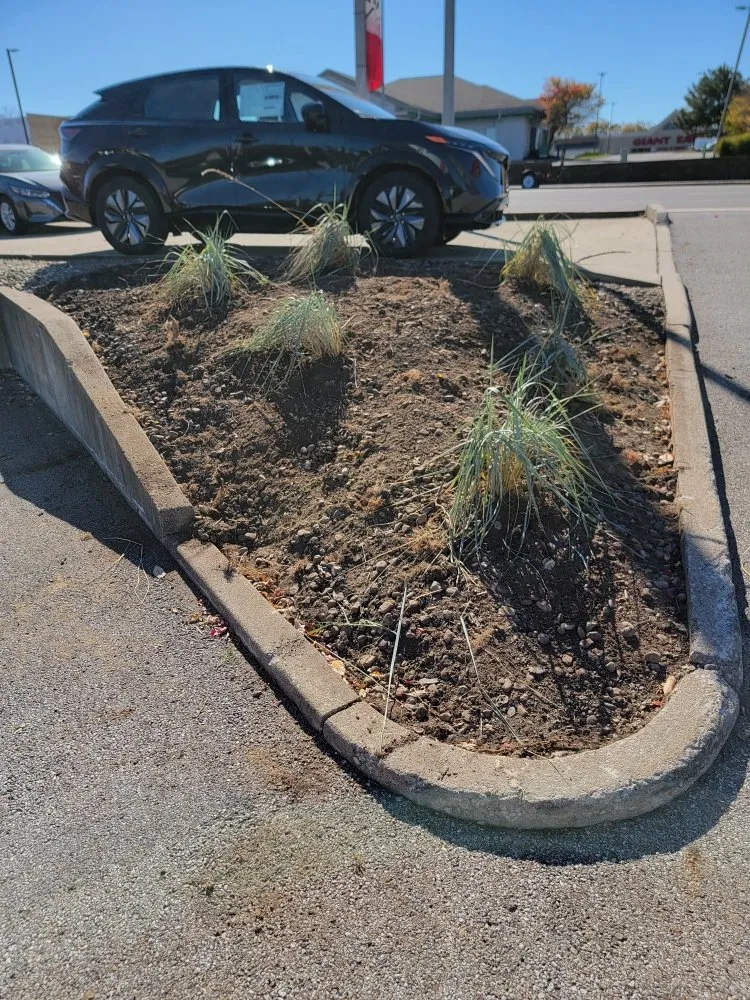 Professional lawn care service in Stone Creek, OH - Bender Enterprises