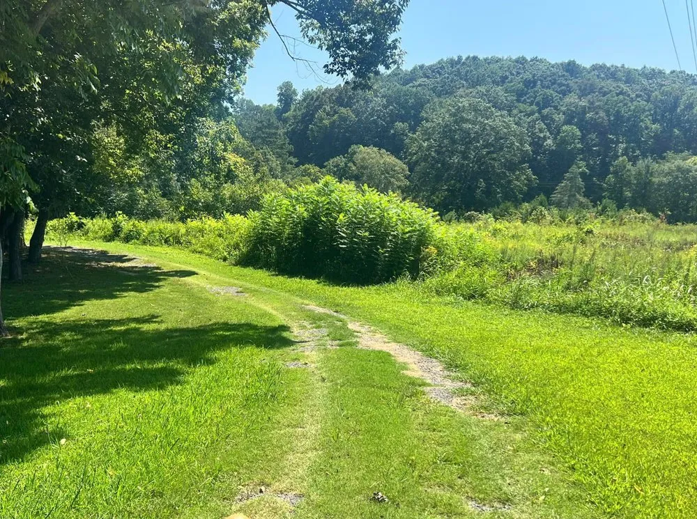 Reliable landscaping services experts serving Cleveland, TN - Bender Outdoor Services