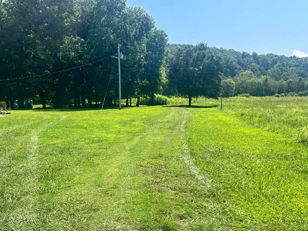 Trusted yard cleanup service near you in Cleveland, TN by Bender Outdoor Services