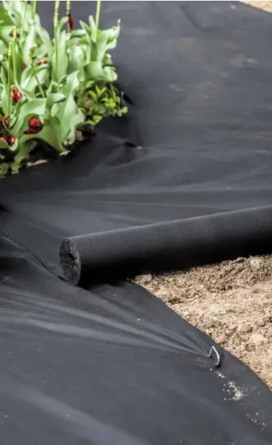 Affordable outdoor landscaping in Bend, OR - Bends Pro Landscaping & Maintenance