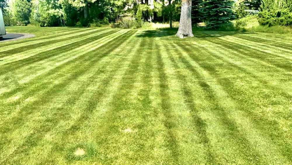 Local residential landscaping for year-round maintenance in Bend, OR by Bends Pro Landscaping & Maintenance