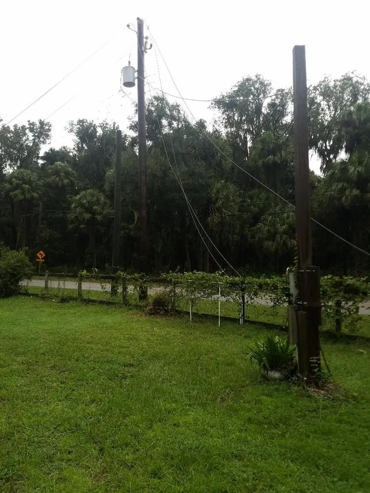 Trusted outdoor landscaping for year-round maintenance across Lakeland, FL - Beneath My Feet Landscaping