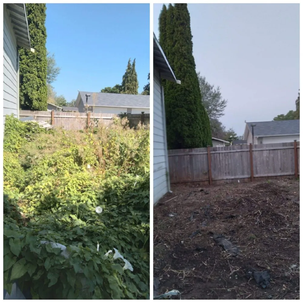 Professional outdoor landscaping in Bonney Lake, WA by Benedicts Handy-Man Services