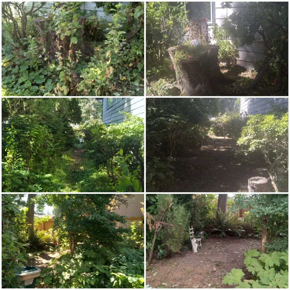 Top-rated garden landscaping in Bonney Lake, WA - Benedicts Handy-Man Services