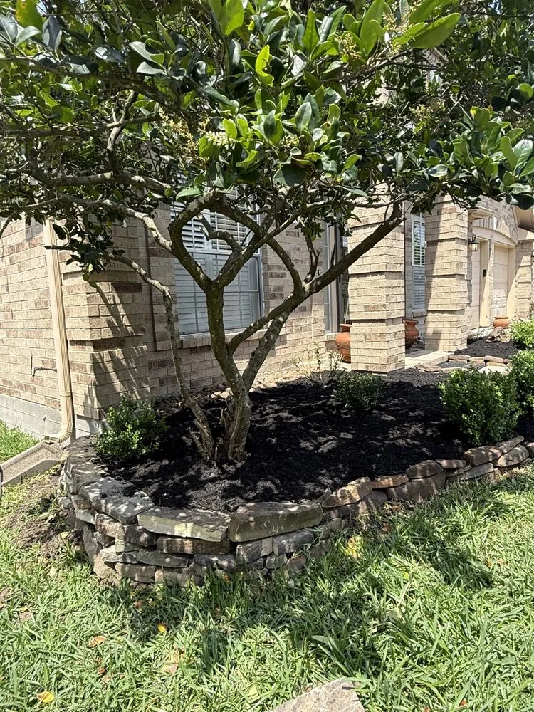 Top-rated landscaping services in Houston, TX - Benelli Complete Home Improvement