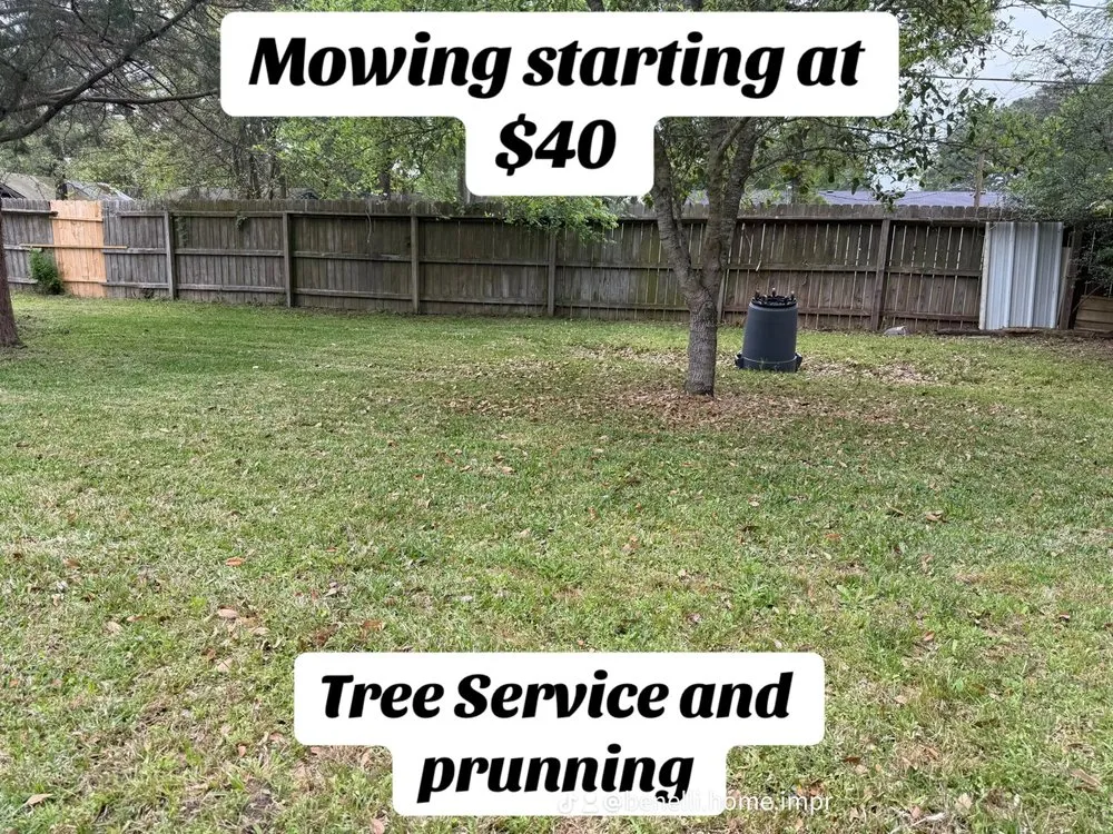 Professional landscape design in Houston, TX by Benelli Complete Home Improvement