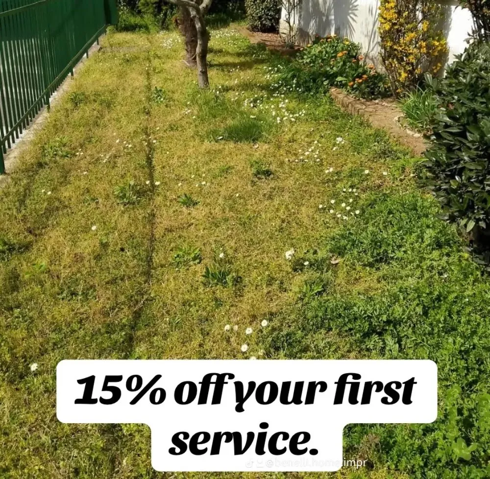 Professional yard maintenance for residential properties in Houston, TX by Benelli Complete Home Improvement