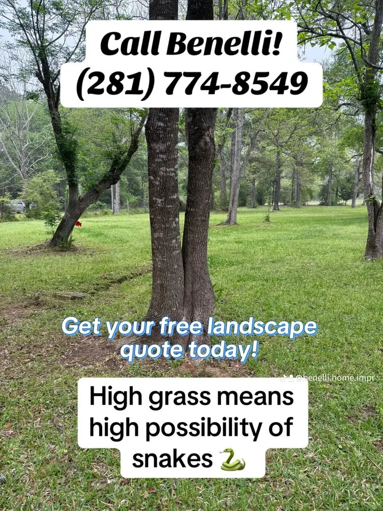 Reliable yard maintenance for year-round maintenance across Houston, TX - Benelli Complete Home Improvement