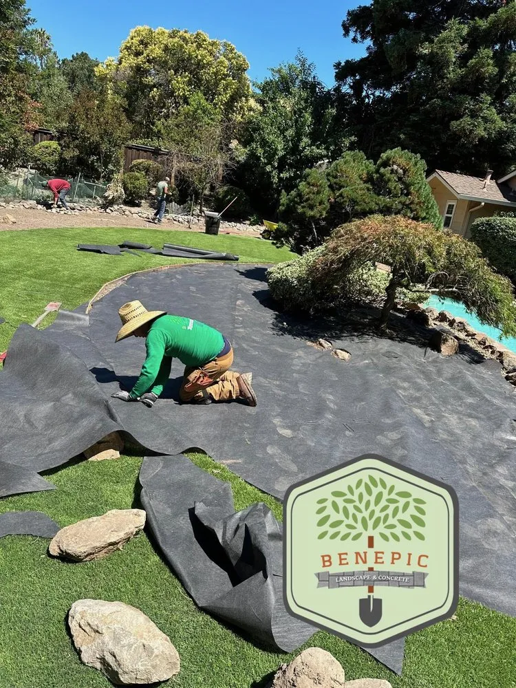 Reliable landscaping services experts serving Bay Point, CA - Benepic Landscape & Concrete