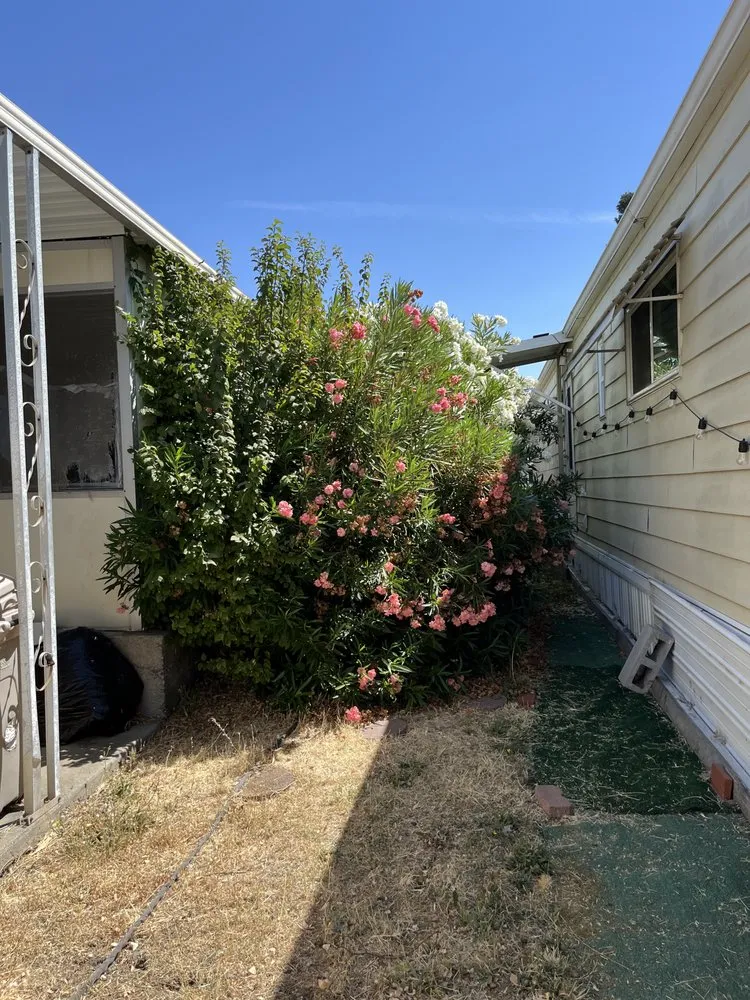 Trusted landscape design in Bay Point, CA by Benepic Landscape & Concrete