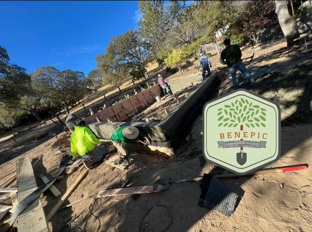 Affordable yard cleanup service experts serving Bay Point, CA - Benepic Landscape & Concrete