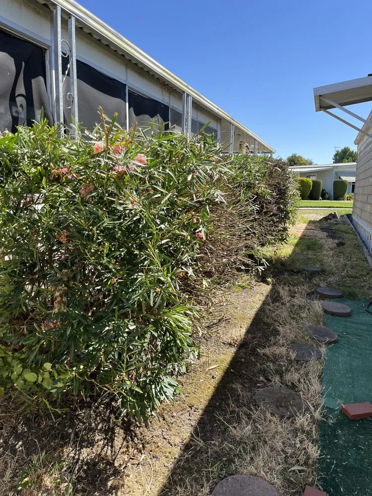 Top-rated landscape installation in Bay Point, CA by Benepic Landscape & Concrete