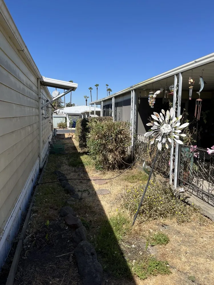 Affordable yard cleanup service in Bay Point, CA by Benepic Landscape & Concrete