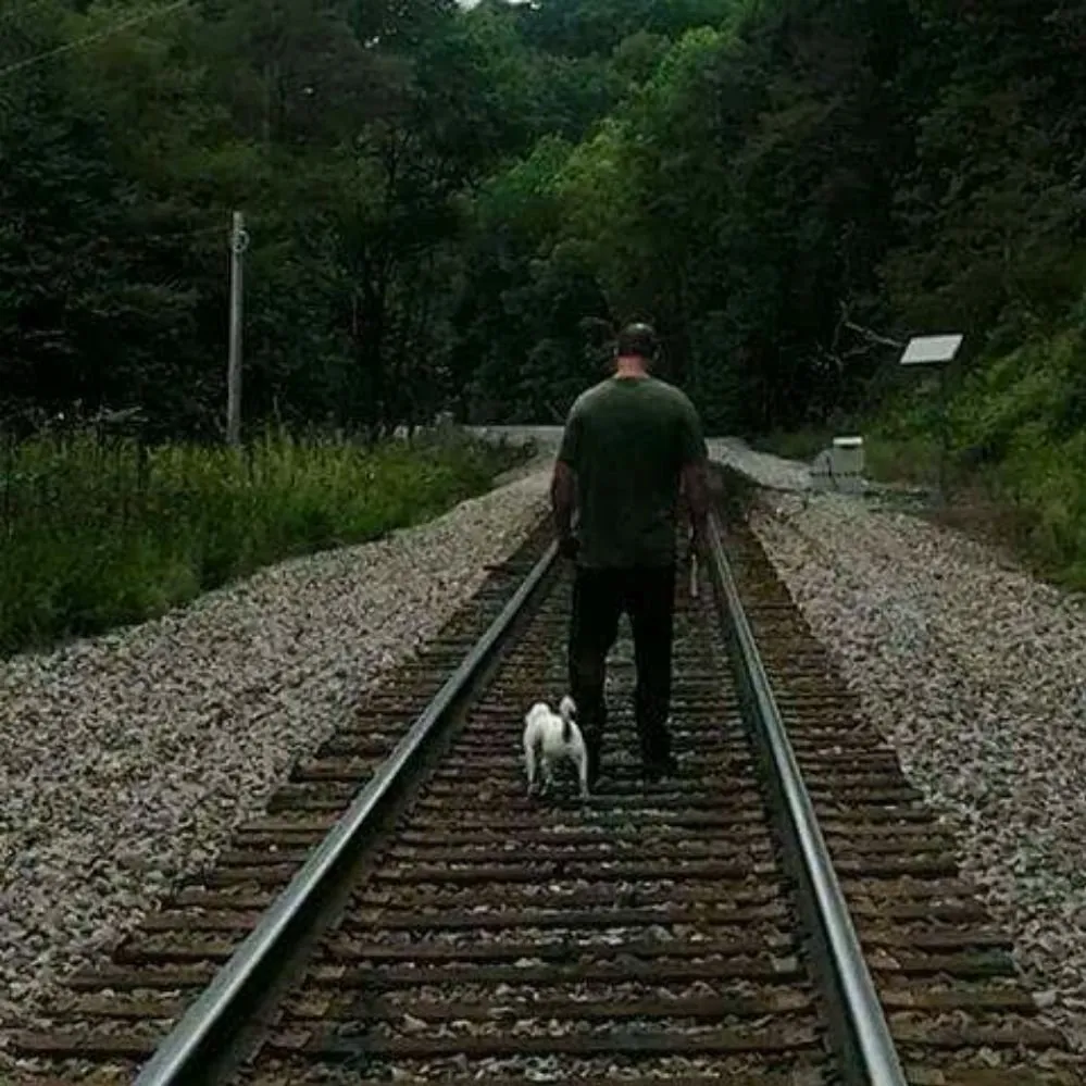 Top-rated yard maintenance for residential properties across Kingsport, TN - Benfield Lawn Care