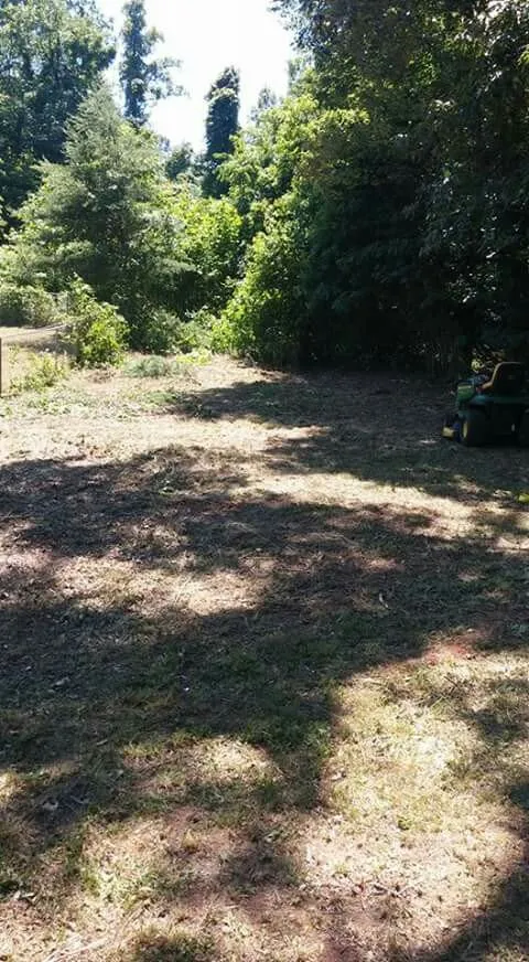 Expert landscaping services for year-round maintenance across Kingsport, TN - Benfield Lawn Care