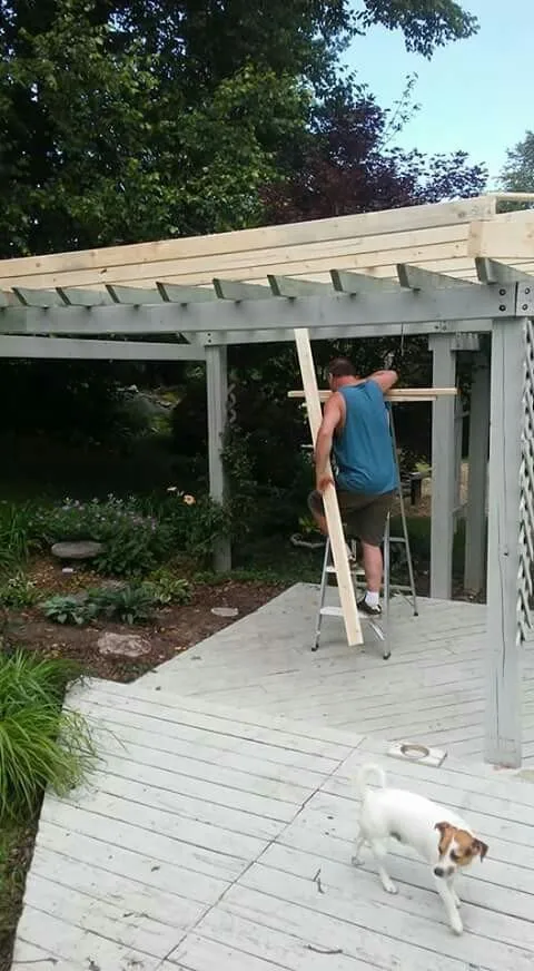 Professional residential landscaping for residential properties in Kingsport, TN by Benfield Lawn Care