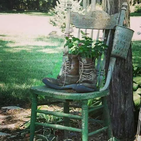 Professional yard maintenance for year-round maintenance across Kingsport, TN - Benfield Lawn Care