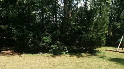 Trusted lawn mowing service in Kingsport, TN by Benfield Lawn Care