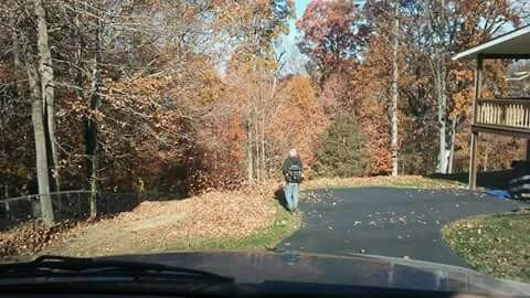 Local landscaping services for year-round maintenance in Kingsport, TN by Benfield Lawn Care