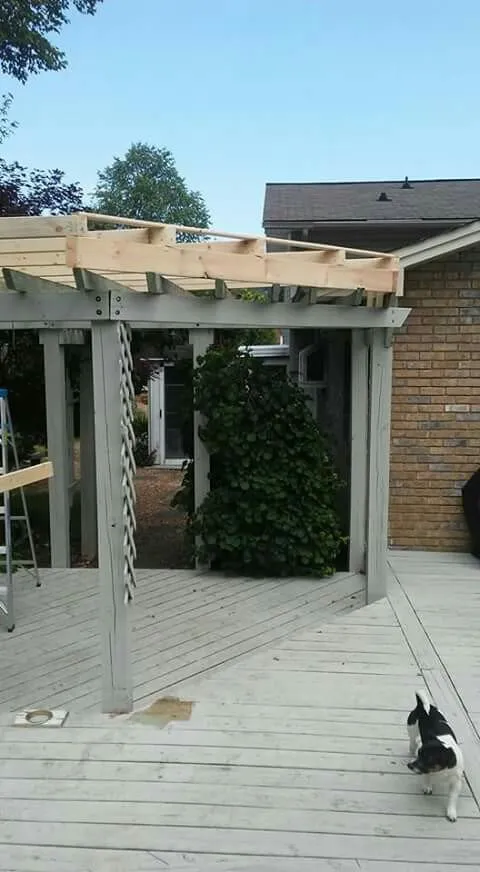 Local landscape installation in Kingsport, TN by Benfield Lawn Care