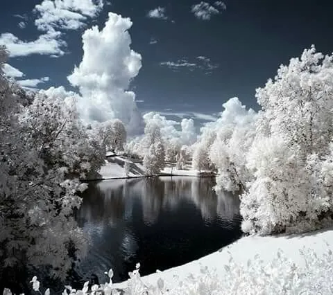 Top-rated landscape installation experts serving Kingsport, TN - Benfield Lawn Care