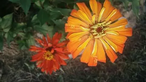 Reliable lawn mowing service near you in Kingsport, TN by Benfield Lawn Care