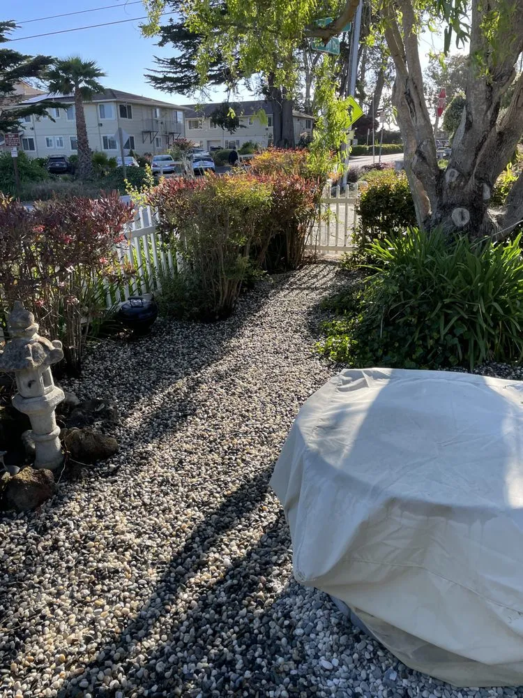 Expert lawn mowing service in Santa Cruz, CA by Bengal Boys Landscape and Handyman