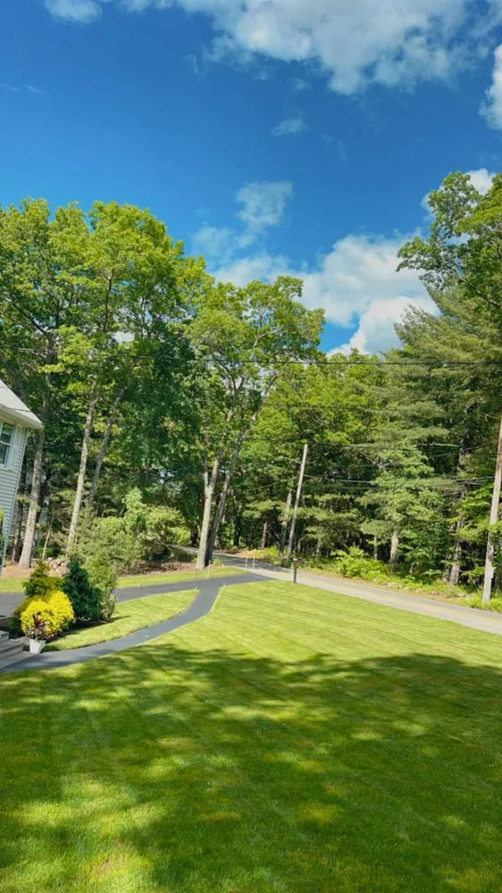 Expert yard maintenance in Lowell, MA by Benicio Landscaping and Construction INC