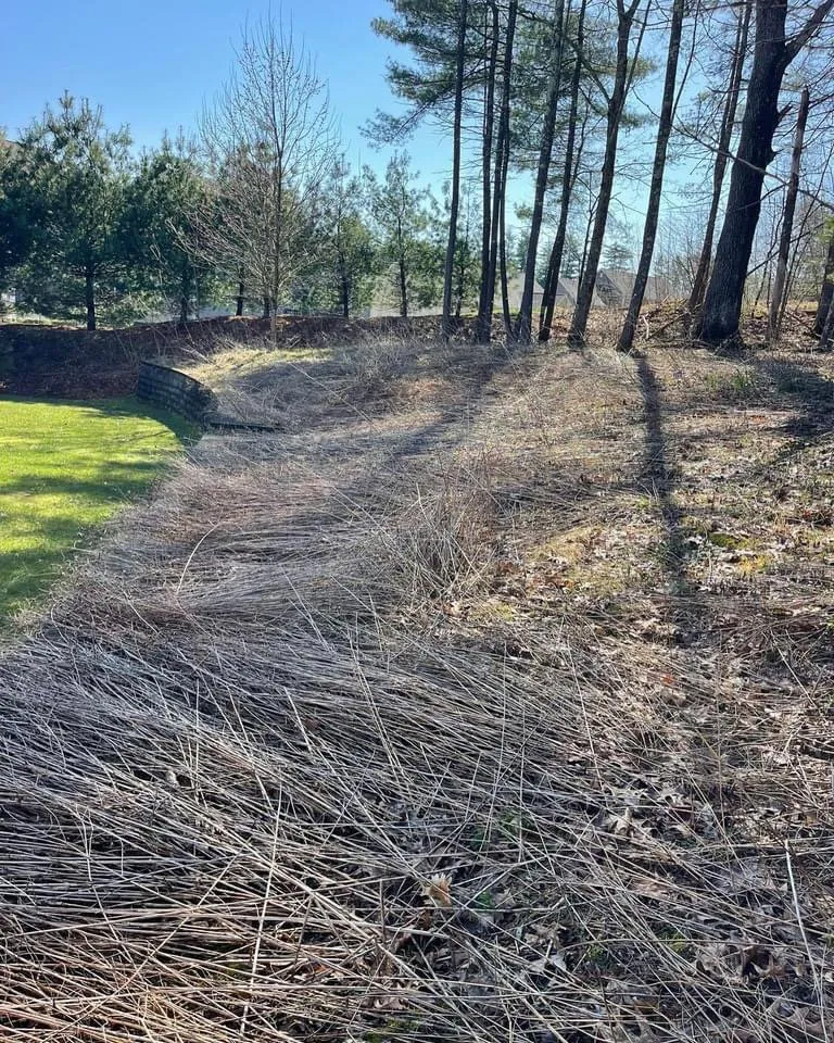 Local lawn mowing service in Lowell, MA - Benicio Landscaping and Construction INC