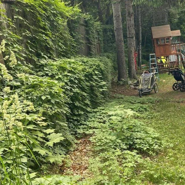 Top-rated landscape design with custom design across Lowell, MA - Benicio Landscaping and Construction INC