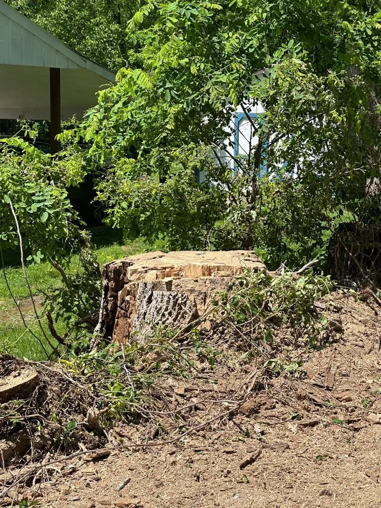 Local garden landscaping experts serving Louisville, KY - Benigno Perez Tree Services