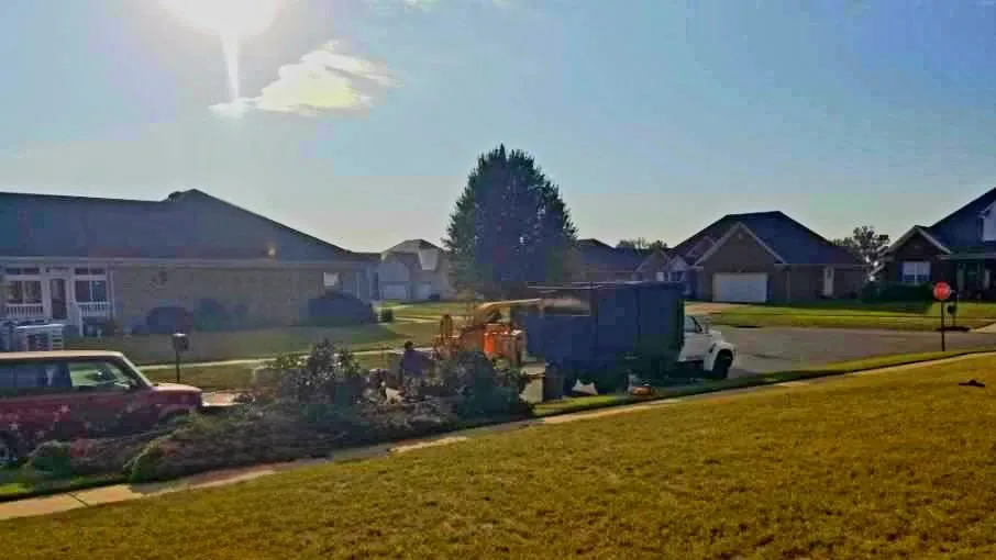 Custom yard maintenance for homes across Louisville, KY - Benigno Perez Tree Services