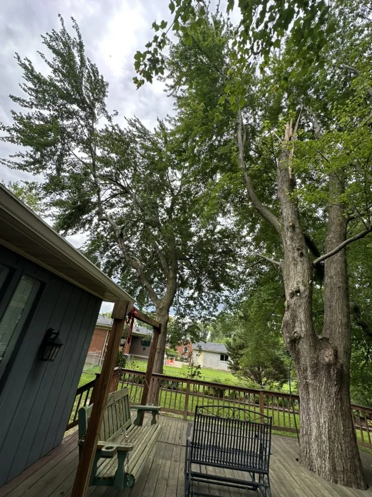 Custom landscaping services in Louisville, KY - Benigno Perez Tree Services