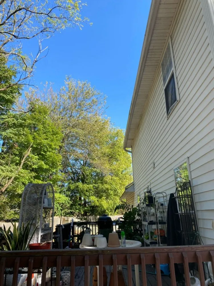 Top-rated garden landscaping in Louisville, KY - Benigno Perez Tree Services