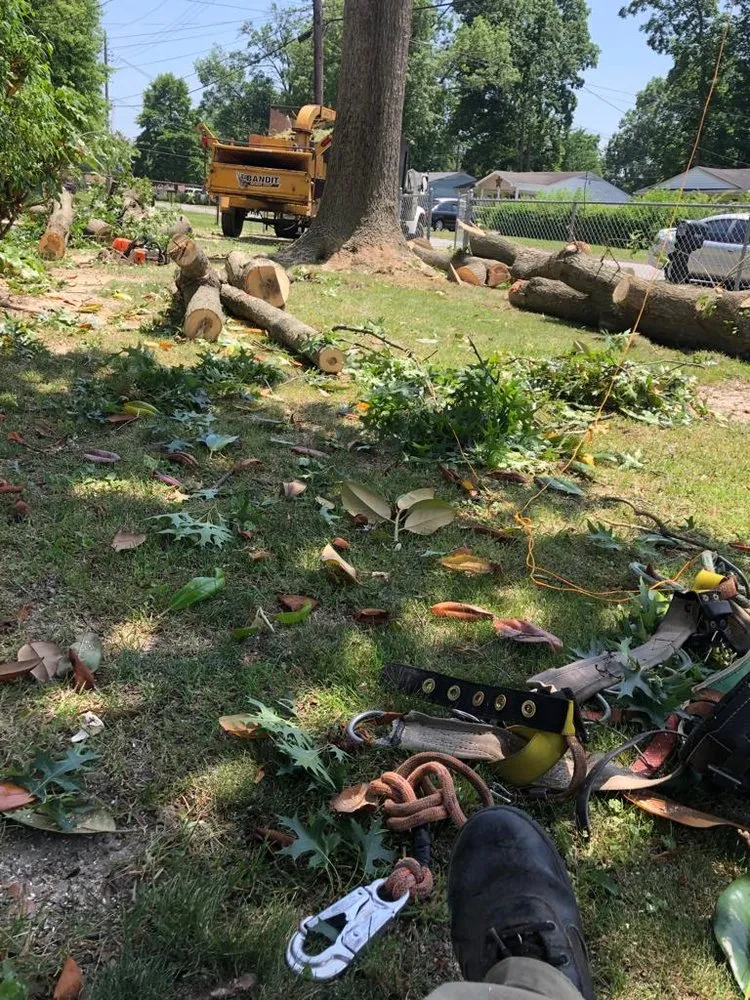 Affordable outdoor landscaping for outdoor upgrades in Louisville, KY by Benigno Perez Tree Services