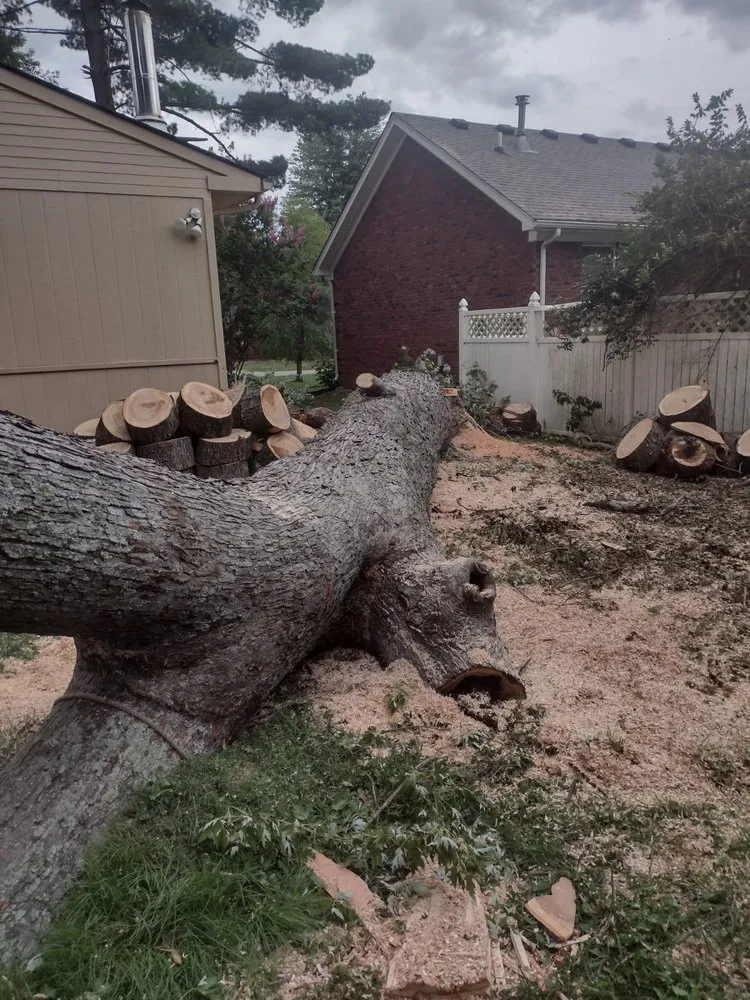 Trusted garden landscaping experts serving Louisville, KY - Benigno Perez Tree Services