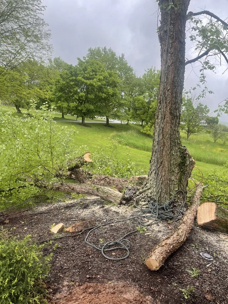 Trusted landscape design experts serving Howell, NJ - Benites Landscaping