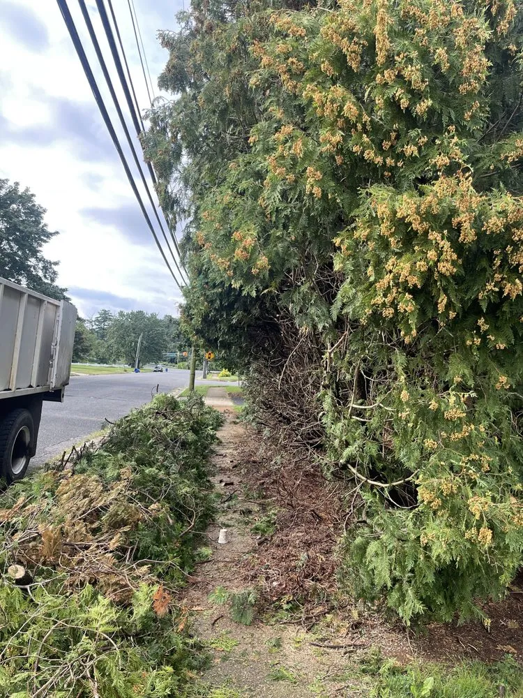 Reliable landscape design for year-round maintenance across Howell, NJ - Benites Landscaping