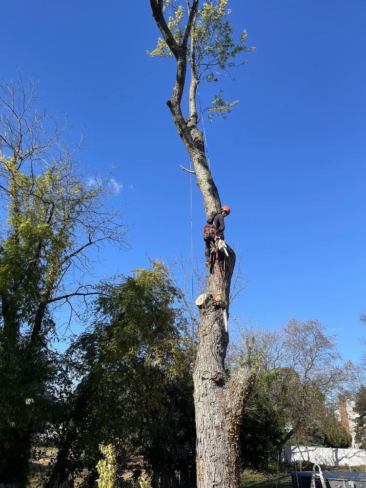 Local lawn care service for beautiful yards in Howell, NJ by Benites Landscaping