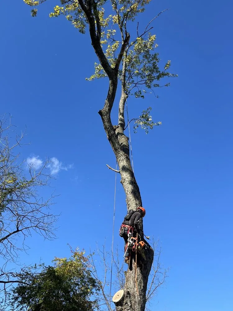 Local lawn care service with custom design across Howell, NJ - Benites Landscaping