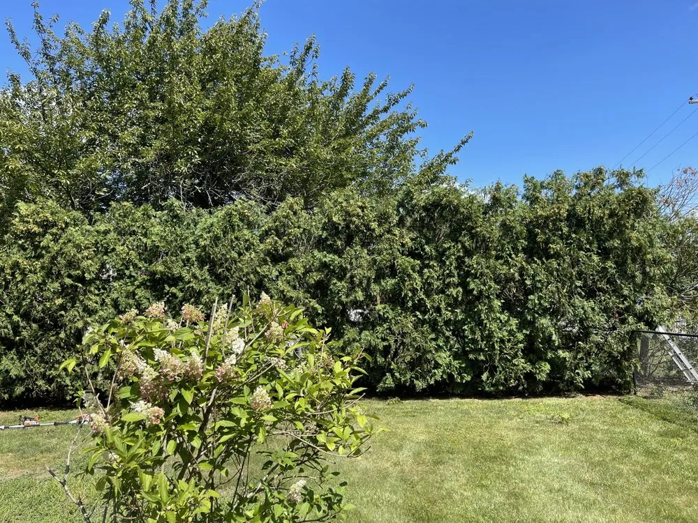 Custom garden landscaping in Howell, NJ - Benites Landscaping