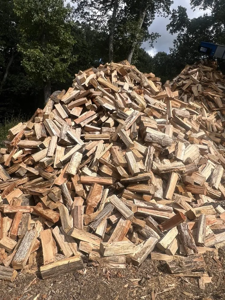 Trusted lawn care service in Howell, NJ - Benites Tree Service