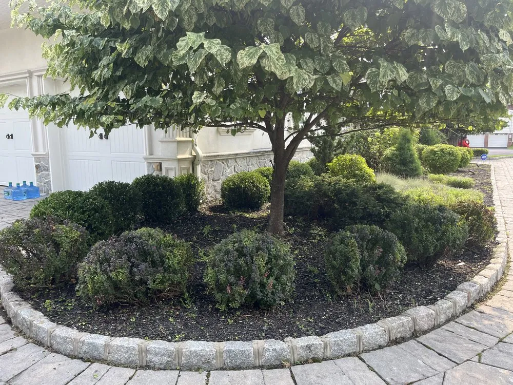 Expert yard maintenance near you across Howell, NJ - Benites Tree Service