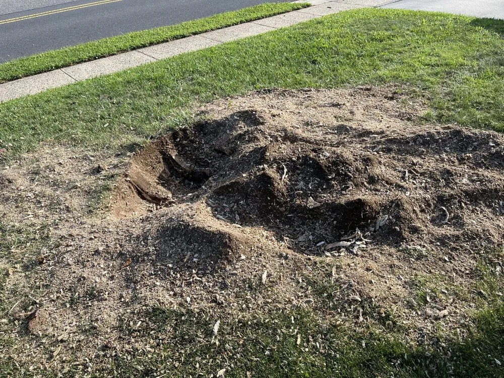 Professional yard maintenance with custom design across Howell, NJ - Benites Tree Service